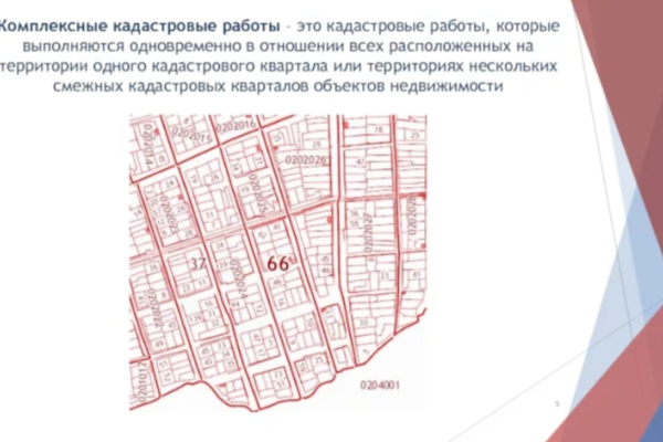 Физические и юридические лица смогут самостоятельно заказывать комплексные кадастровые работы